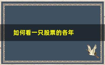 “如何看一只股票的各年市盈率